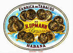 H Upmann