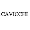 Cavicchi